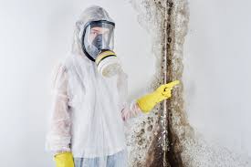 Best Water Damage & Mold Remediation  in Gman, IL